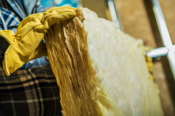 Best Residential Insulation in Littleton, CO